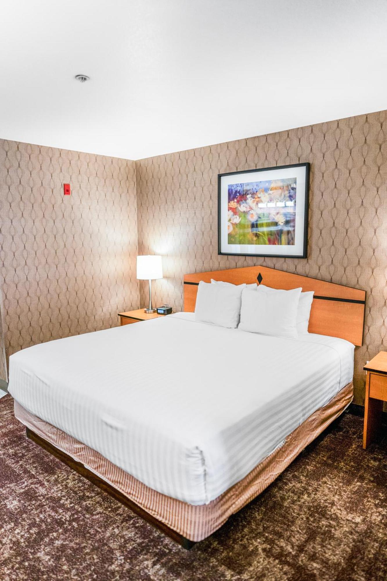 Crystal Inn Hotel & Suites - West Valley City Exteriér fotografie